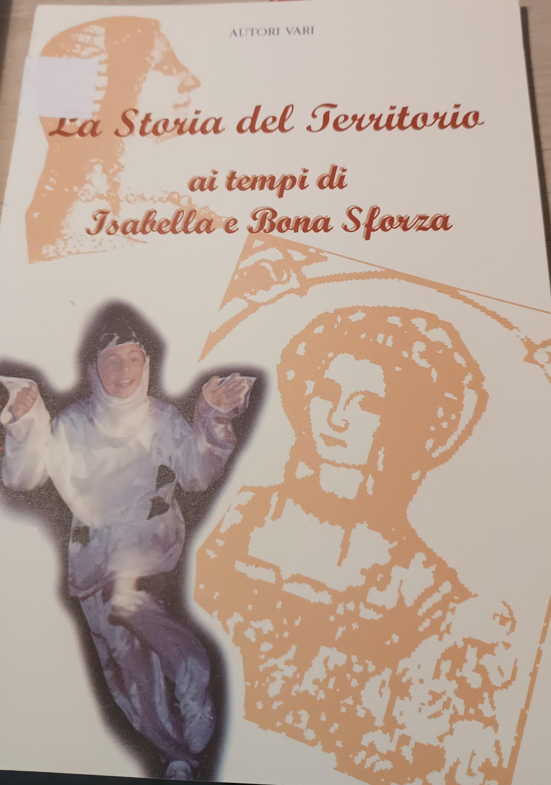 Copertina di La storia del territorio ai tempi di Isabella e Bona Sforza