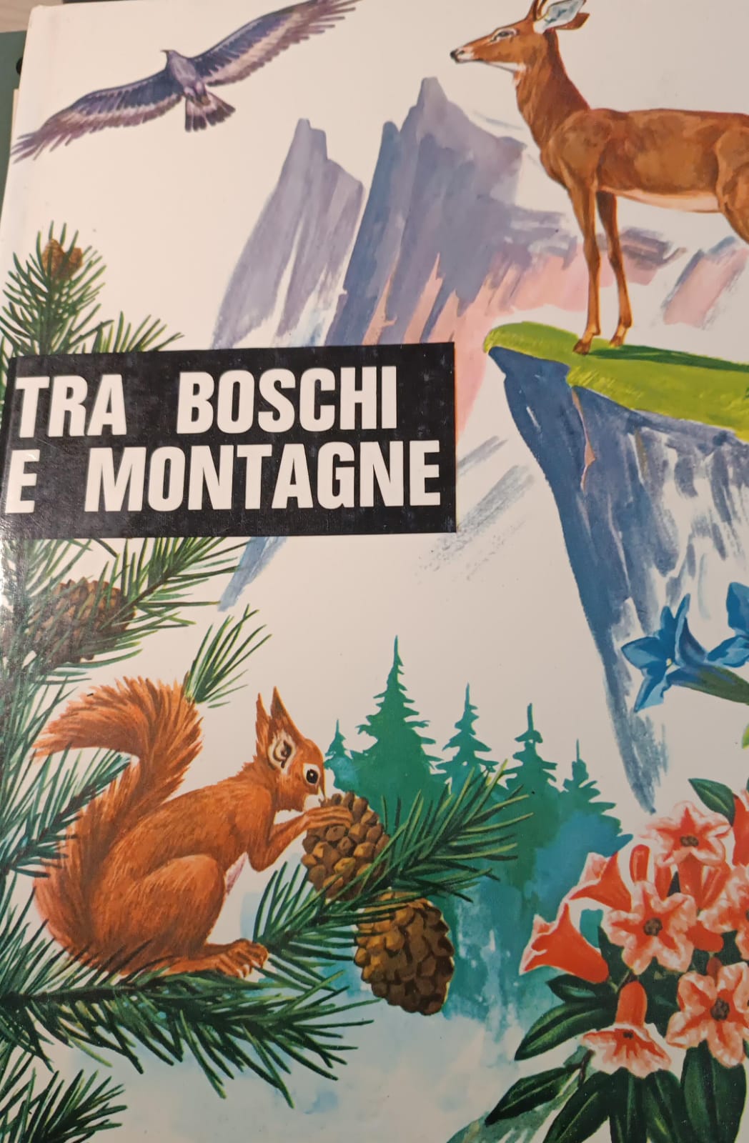 Copertina di Tra boschi e montagne