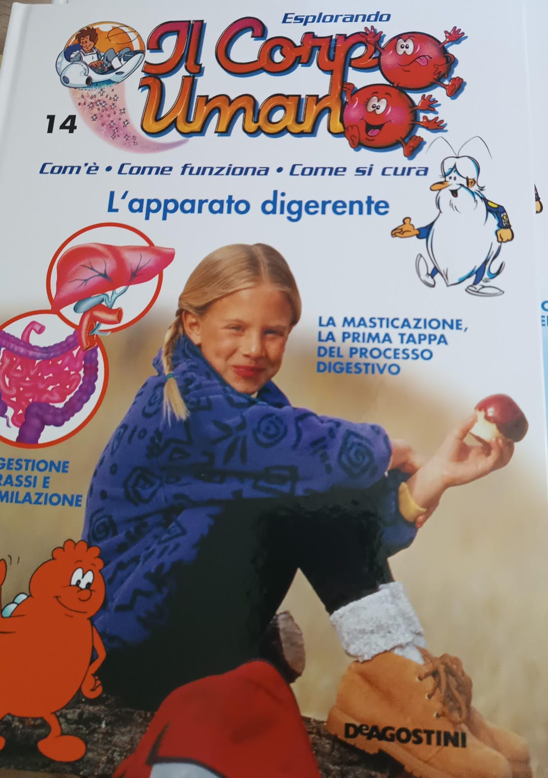 Copertina di 14. Esplorando il corpo umano. L'apparato digerente