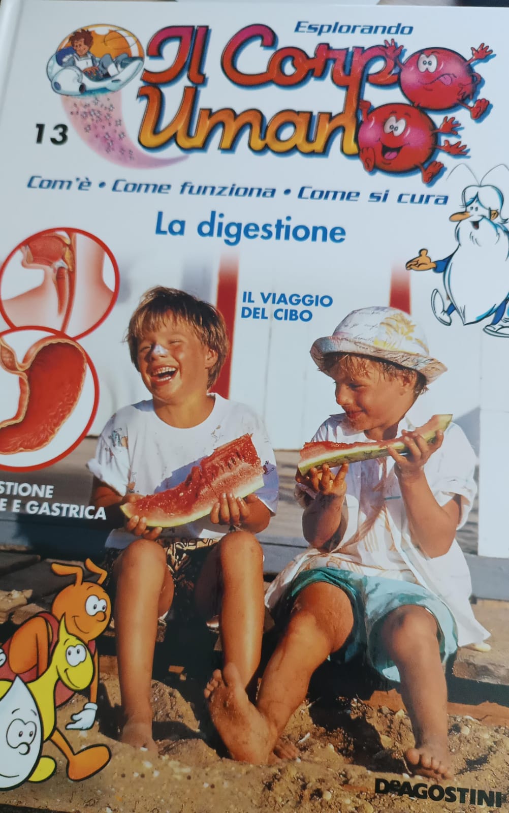 Copertina di 13. Esplorando il corpo umano. La digestione