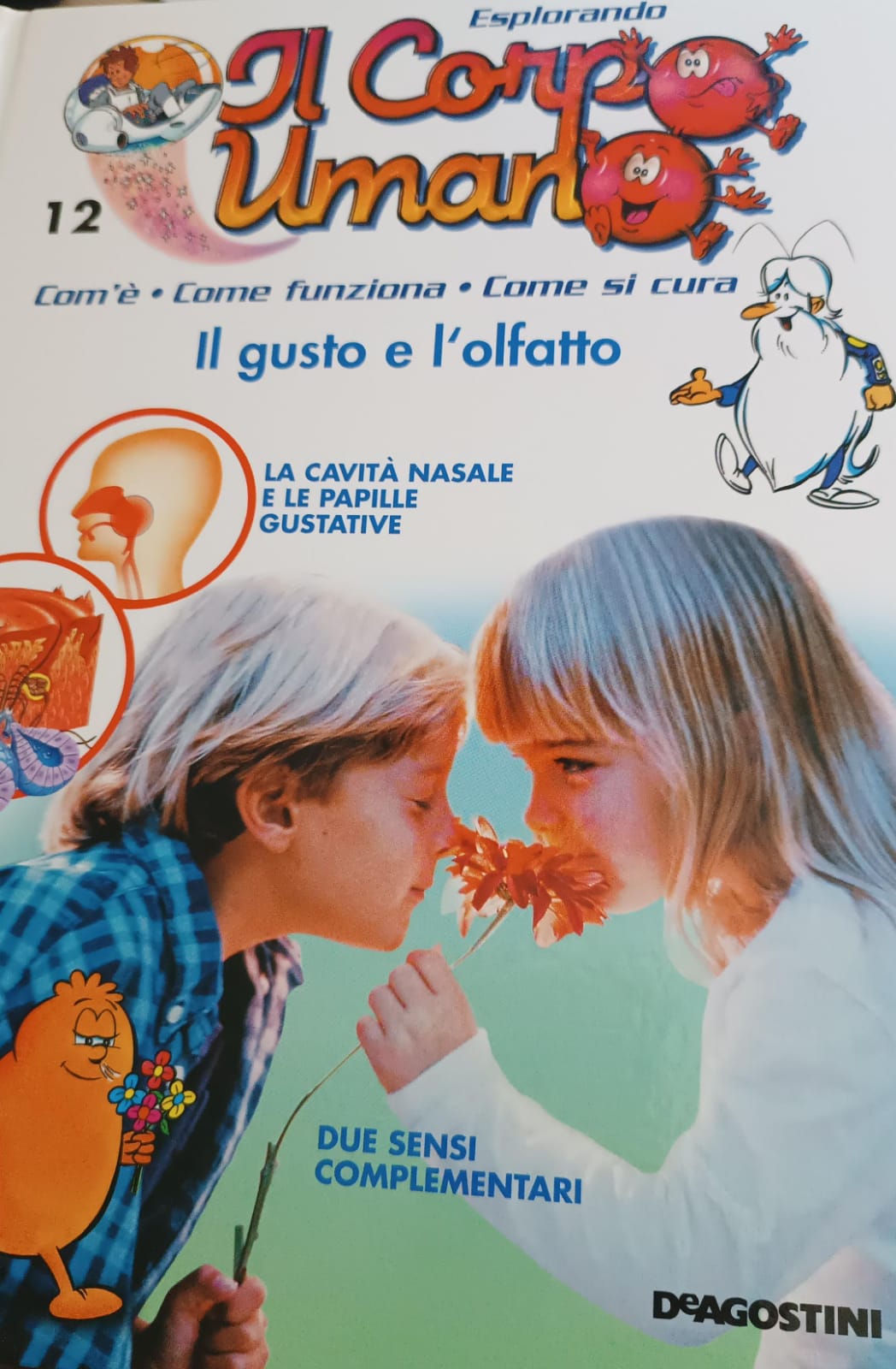 Copertina di 12. Esplorando il corpo umano. Il gusto e l'olfatto