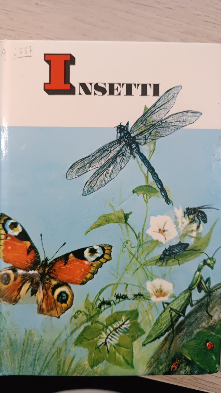 Copertina di Insetti