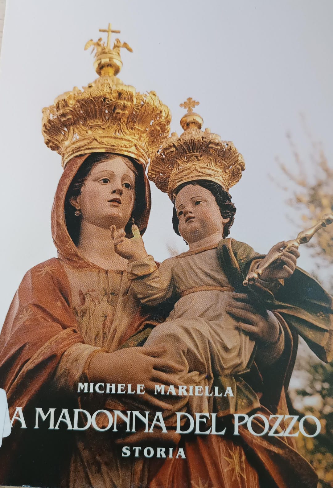 Copertina di La Madonna del Pozzo. Storia