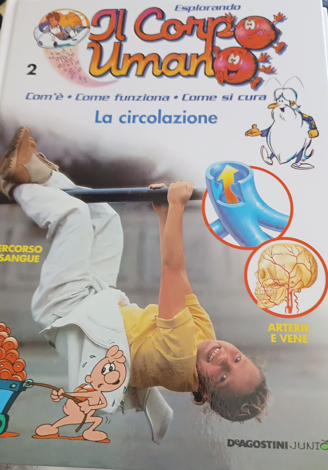 Copertina di 2. Esplorando il corpo umano. La circolazione