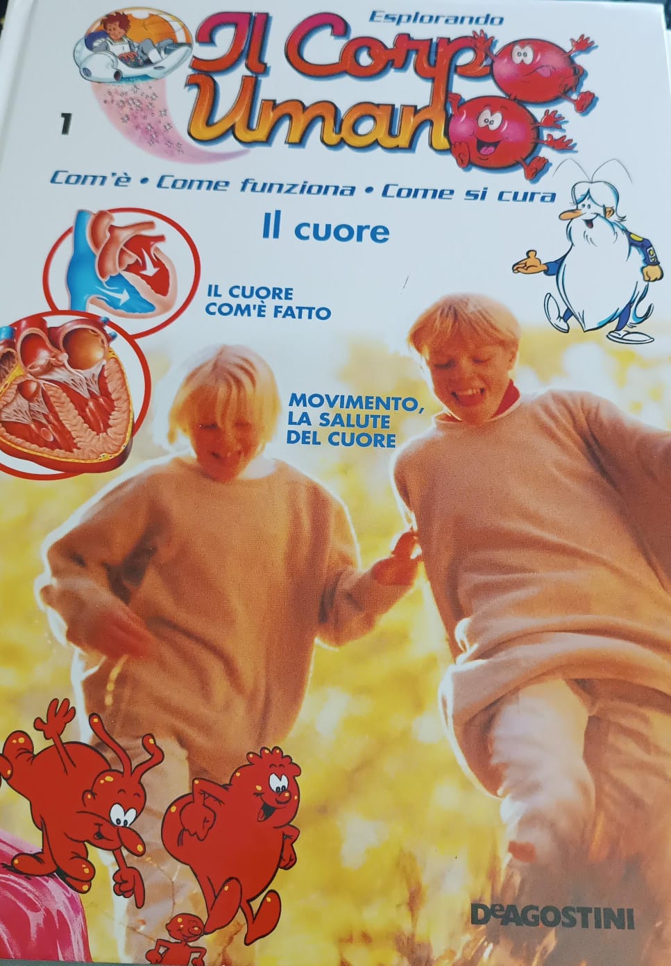 Copertina di 1. Esplorando il corpo umano. Il cuore